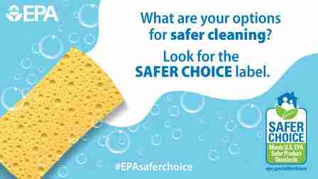 Sponge with bubbles and Safer Choice label