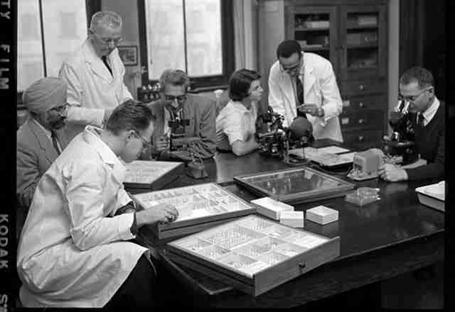 historical photo of doctors looking at slides