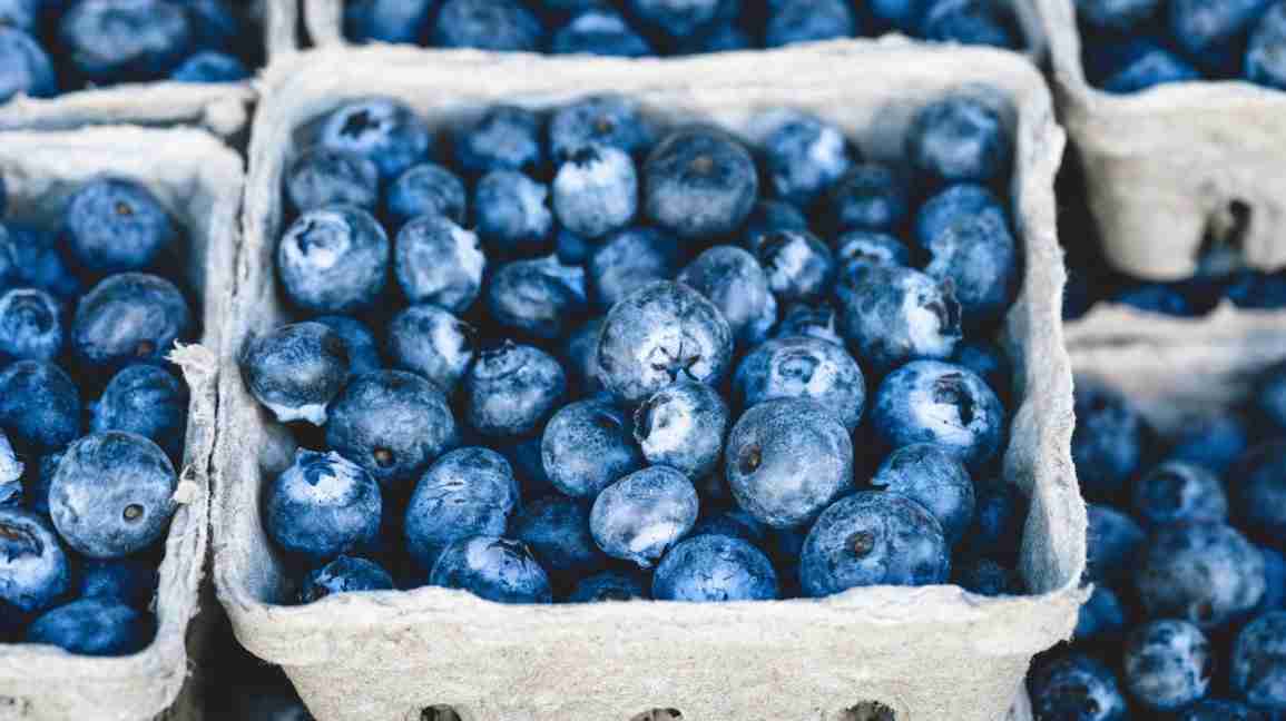 Proven Benefits of Blueberries