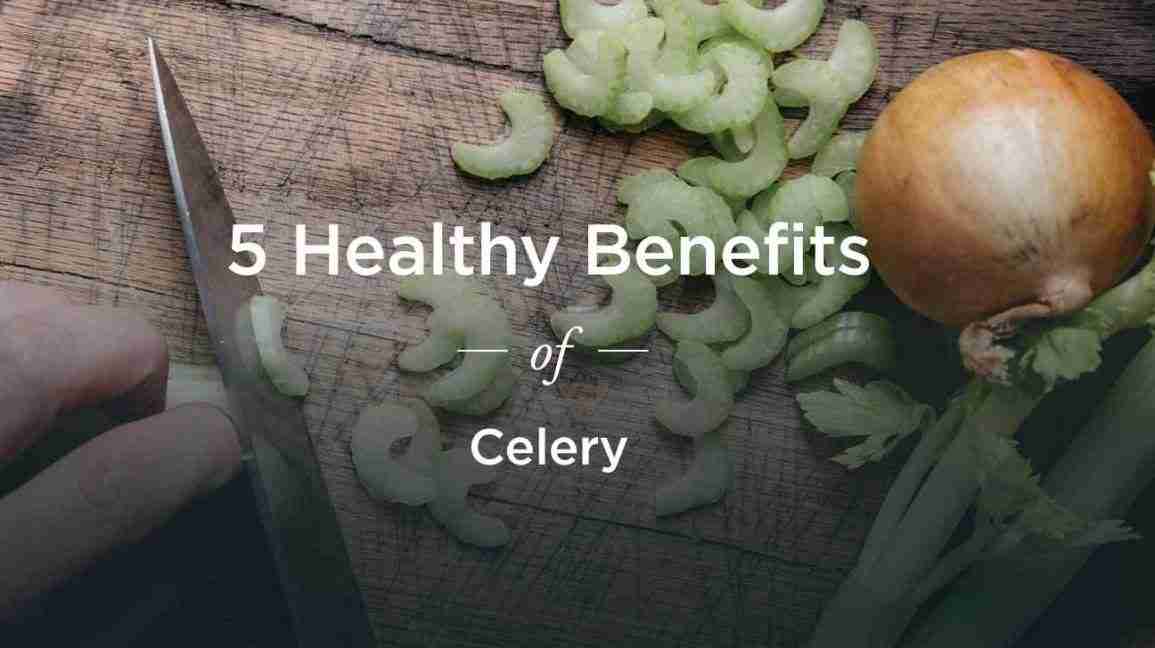 benefits of celery