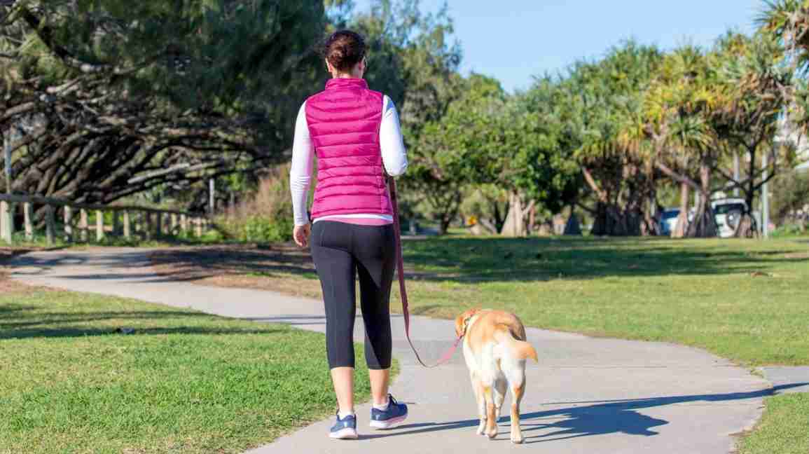 woman and her dog walking away together