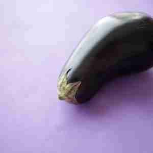 Eggplant Nutrition Facts and Health Benefits | Nutrition Stripped Kitchen
