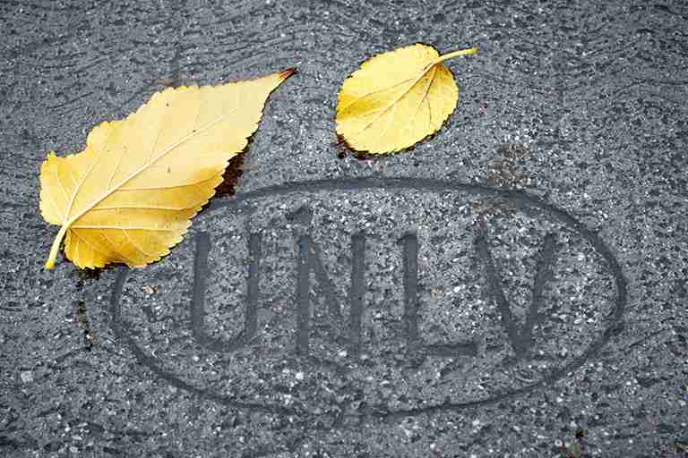 Cement with U-N-L-V carved in it and two yellow leaves